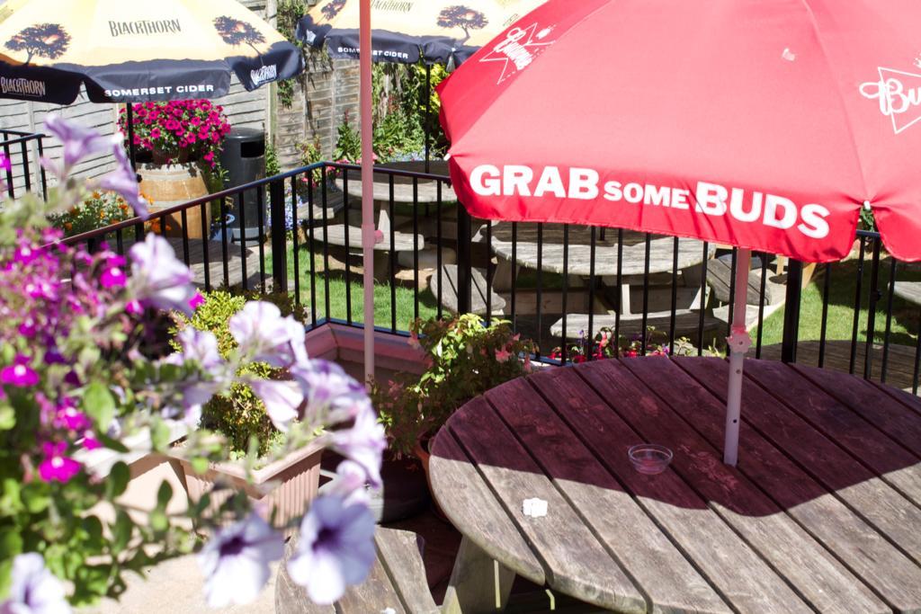 The Pilot Inn Eastbourne Bagian luar foto